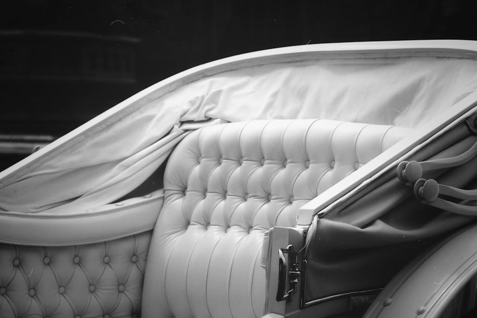 女裝皮帶的選擇指南：材質、設計與功能全解析