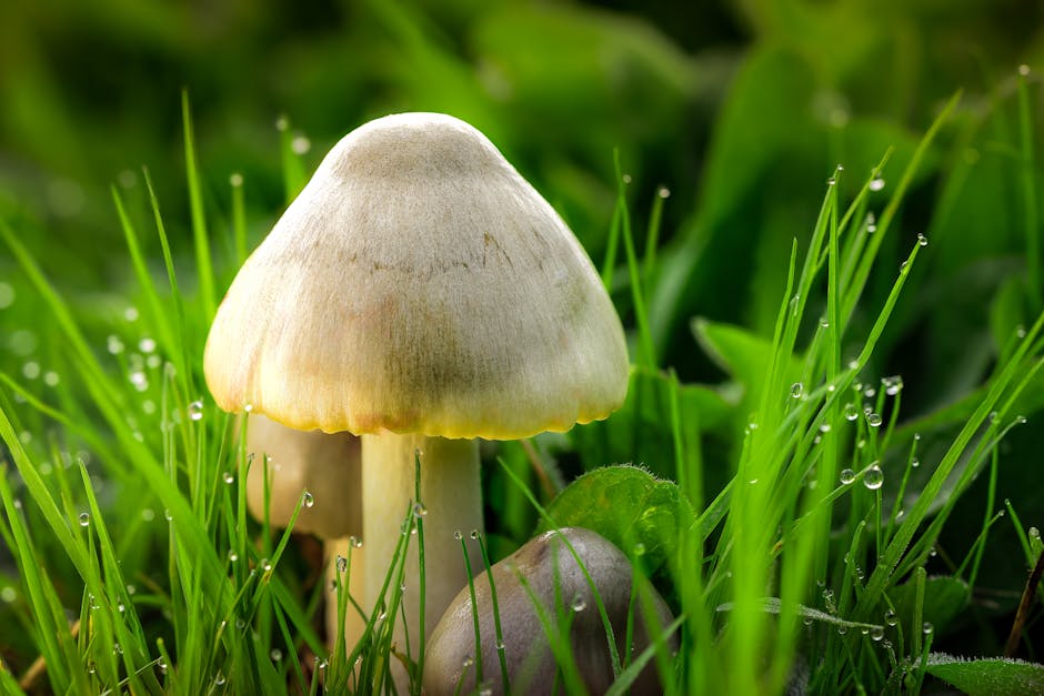 保濕霜的重要性與選擇指南