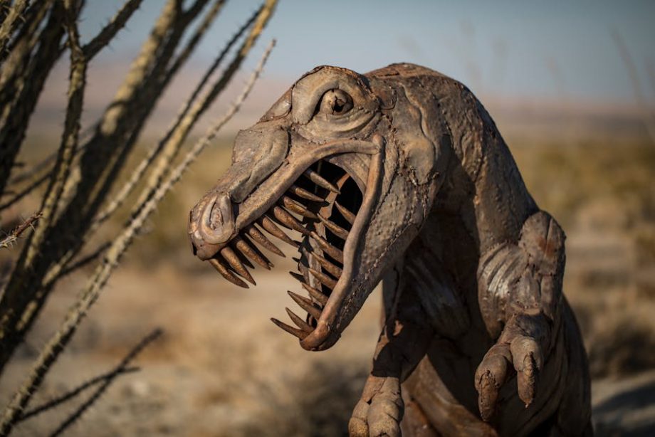 緊急牙醫的重要性與理性應對